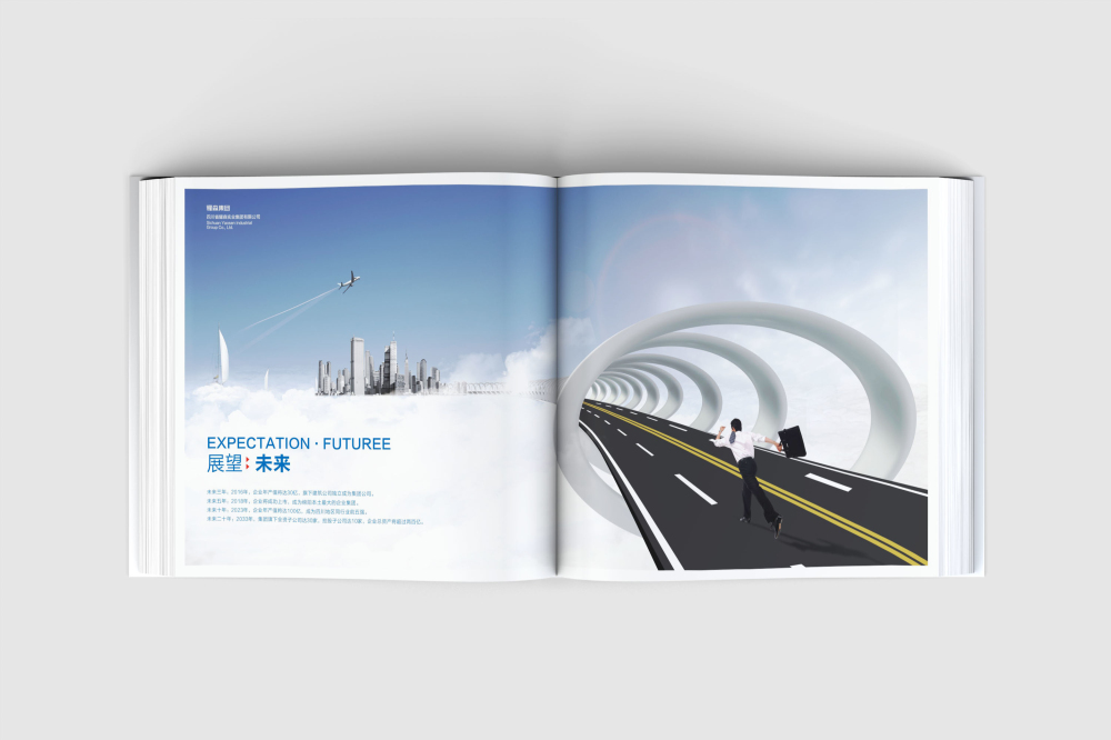 新巴尔虎左旗画册设计